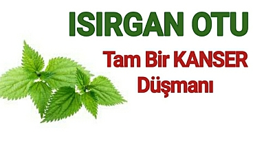 Isırgan Otunun Öyle Bir Faydası Varki...