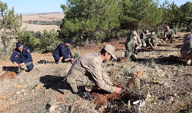 Jandarma 100. yıla özel 100 fidan dikti
