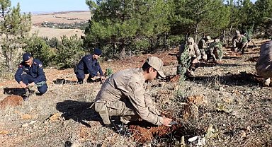Jandarma 100. yıla özel 100 fidan dikti