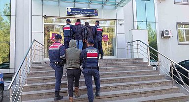 Jandarma 120 kilo zeytin çalan 3 şüpheliyi yakaladı