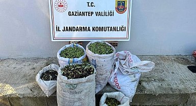 Jandarma ekipleri hırsızlara göz açtırmıyor