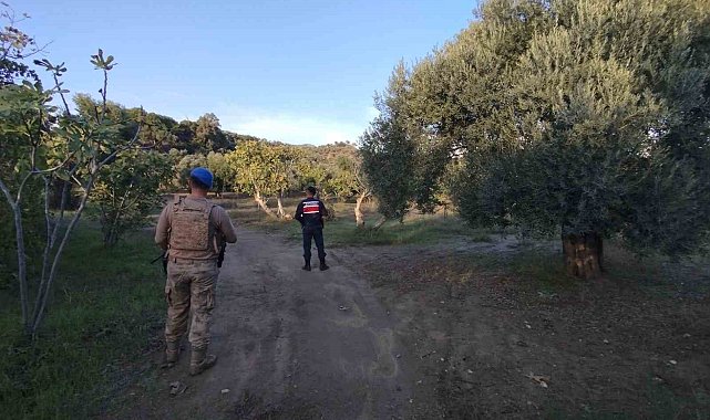 Jandarma tarımsal ürün hırsızlığına geçit vermiyor