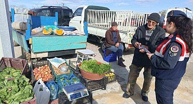Jandarmanın kadına şiddetle mücadele çalışmaları sürüyor