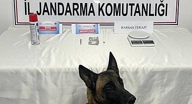 Jandarmanın uyuşturucu ile mücadelesinde 2 şahıs tutuklandı