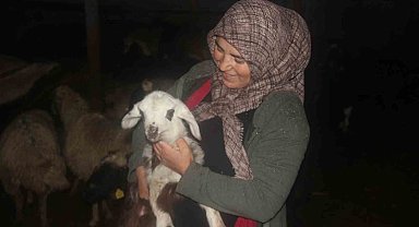 Kadın girişimci devletten aldığı destekle hayvancılık yapıyor