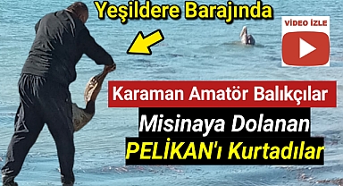 Karaman Olta Balıkçıları Misinaya Dolanan Pelikanı Kurtardılar