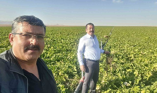 Karapınar'da mısır ve şekerpancarı mesaisi