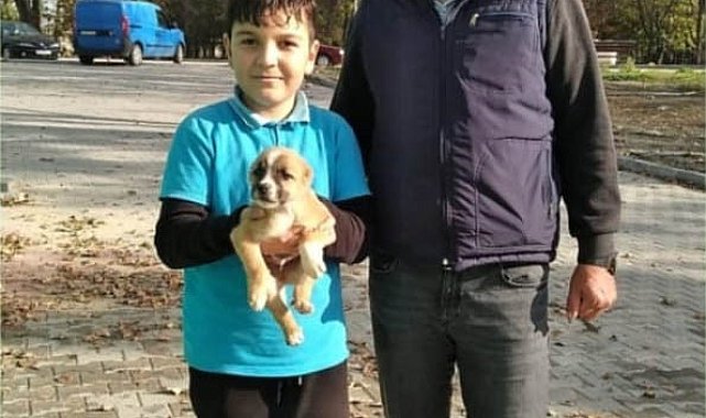 Keşan'da kulakları ve ve kuyruğu kesilerek çuvala konulan yavru köpeği baba-oğul sahiplendi