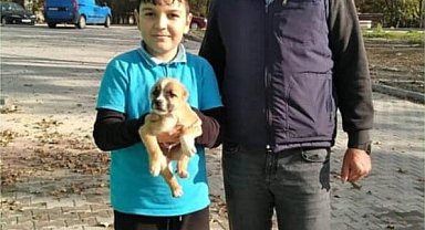 Keşan'da kulakları ve ve kuyruğu kesilerek çuvala konulan yavru köpeği baba-oğul sahiplendi