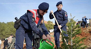 Kırıkkale'de "100. Yıl Cumhuriyet Ormanı" oluşturuldu
