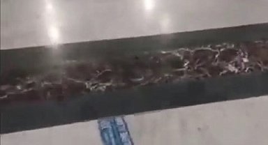 Kocaeli Üniversitesi Eğitim ve Araştırma Hastanesi koridorlarında köpek dışkısı