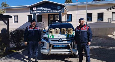 Konteynerde keklik besleyen şahıs yakalandı