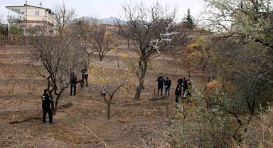 Köpek gezdiren vatandaşlar fark etti: Ağaca asılı halde bulundu