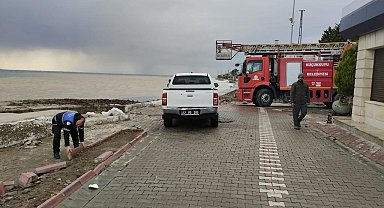 Küçükkuyu'da fırtına sonrası ölü yunus balığı karaya vurdu