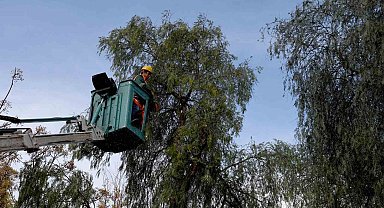 Kuşadası'nda ağaç atıkları yakıta dönüşüyor