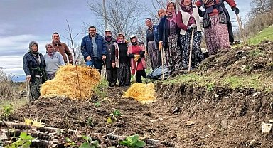 Kütahya'da gıda ormanı çalışması