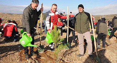 Kütahya'da maden sahasına 6 bin fidan dikildi