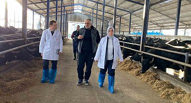 Manda yetiştiricileri destekleniyor
