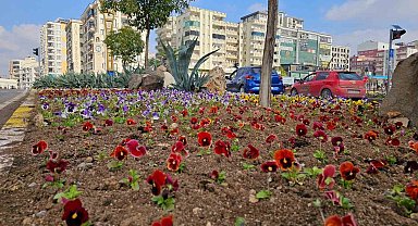 Mardin'de 110 bin çiçek kavşak ve refüjlere dikildi