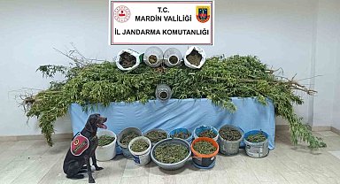 Mardin'de 'Narko Güç' operasyonunda 7 tutuklama