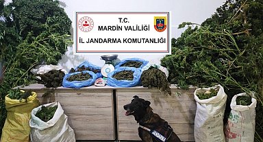Mardin'de manav dükkanında uyuşturucu satan şüpheli tutuklandı