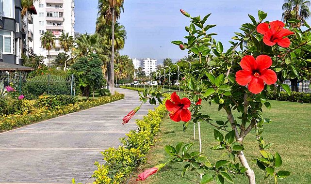 Mersin'de 9 milyon bitkilendirme çalışması yapıldı