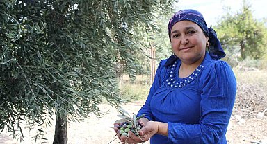 Meteoroloji uyarı verdi, çiftçi ürünü hasat etmeye başladı