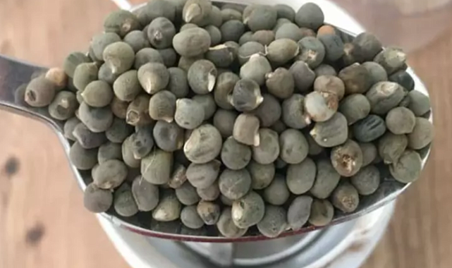 Mucizevi besin: Bağırsakları temizliyor, kolesterolü dengeliyor! İşte saymakla bitmeyen faydaları
