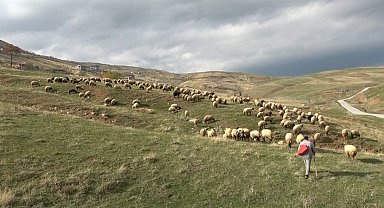 Muşlu çobanlar sigortalı olacak