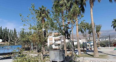 Mut'ta yol, park ve bahçelerin kışlık bakımı yapılıyor