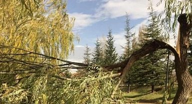 Nevşehir'de çatılar uçtu, ağaçlar devrildi