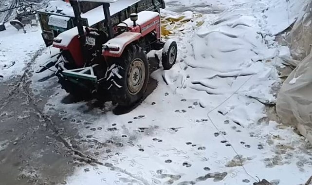 Niğde'de kar yağışı