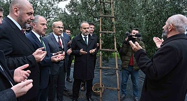 Orhangazi'de de zeytin hasadı başladı