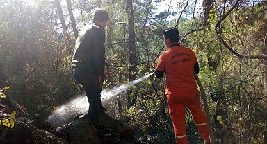 Ormanlık alanda çıkan yangın kontrol altına alındı