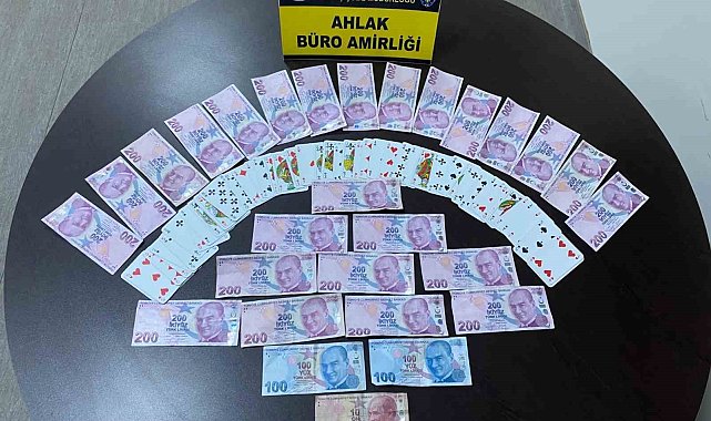 Osmaniye'de asayiş uygulamaları: 23 tutuklama