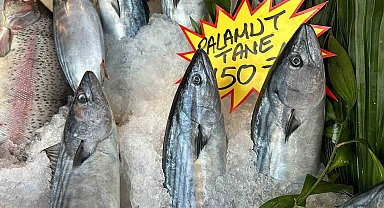 Palamut azda olsa tezgaha indi