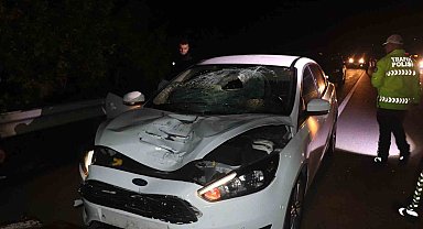 Rize'de otomobilin çarptığı yaşlı kadın hayatını kaybetti