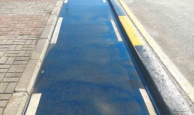 Sakarya'daki bisiklet yolları temizlendi