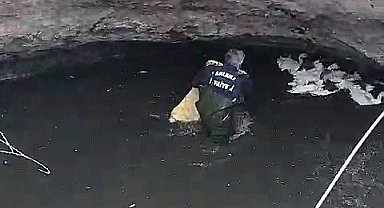 Sarnıca düşen kazlar, itfaiye tarafından kurtarıldı