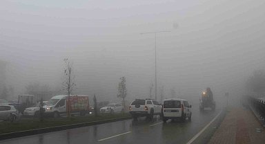 Şırnak sağanak yağış ve sise teslim oldu: Sel suları ağaçları kökünden söktü