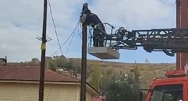 Sivas'ta İtfaiye ekipleri, yaramaz kedi için seferber oldu