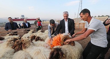 Tahmazoğlu "Hayvancılığa desteğimiz sürecek"