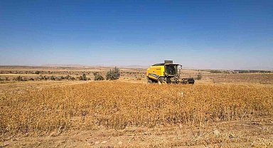 Talas'ta 2 bin 500 litre aspir yağı alındı