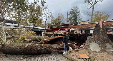 Tarihi Kozahan'da 250 yaşındaki tarihi çınar fırtınaya dayanamadı