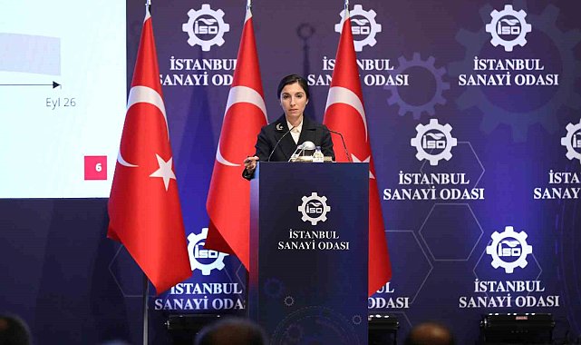 TCMB Başkanı Hafize Gaye Erkan: "Türk Lirasına geçiş başlamıştır"
