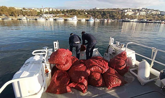 Tekirdağ'da 1,5 ton karakıllı midye ele geçirildi