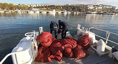 Tekirdağ'da 1,5 ton karakıllı midye ele geçirildi