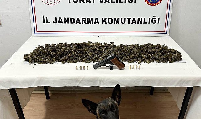 Tokat'ta bir araçta 2 kilo 300 gram esrar ele geçirildi