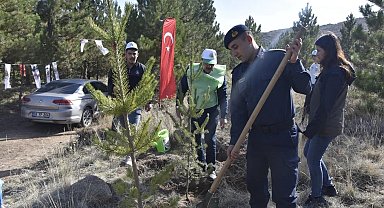 Tomarza'da fidanlar toprakla buluştu