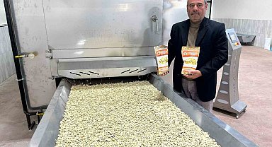 Tomarza'da kabak çekirdeğinde seri üretime geçildi
